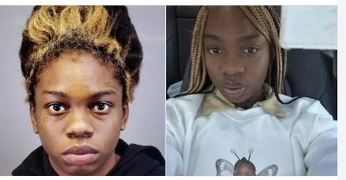 Riley Donaldson Southfield, Michigan Obituary: Riley Donaldson Shoots Her Mother in Custody Battle, Flees with Child in Backseat