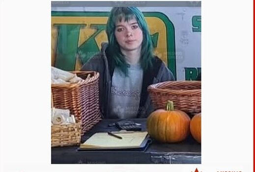 Sophie Willis Corner Brook, NL MISSING ALERT: Sophie Willis, 15, Vanishes from Corner Brook, Sparking Urgent Manhunt for Teen with Distinctive Blue Hair